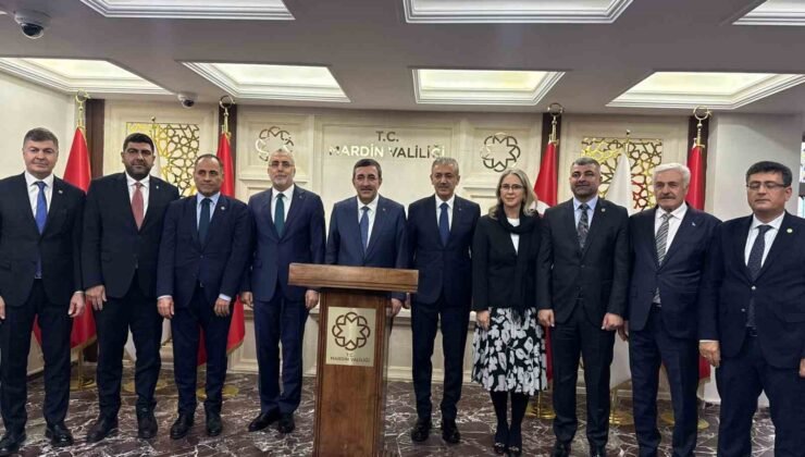 Cumhurbaşkanı Yardımcısı Cevdet Yılmaz Mardin’de