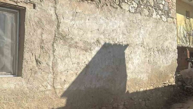 Depreme uyanan kadın dua ederek sarsıntının geçmesini bekledi