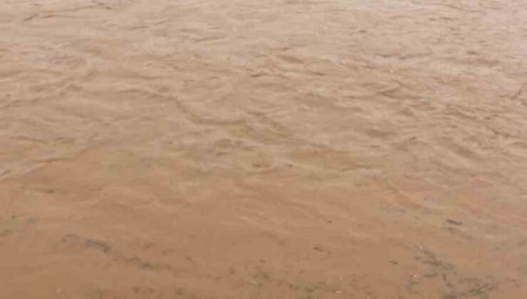 Diyarbakır’da sağanak nedeni ile onlarca koyun telef oldu