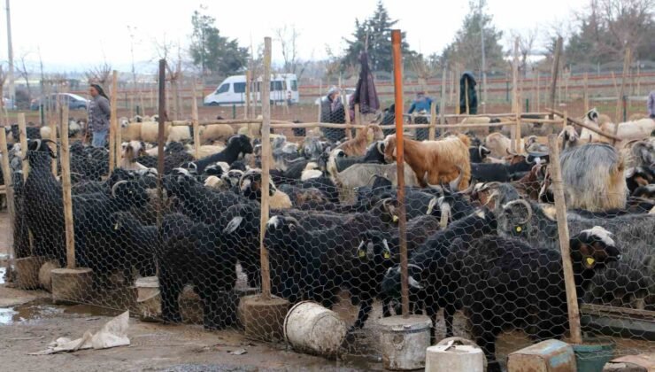 Diyarbakır’da vatandaşlar sofralara bırakacağı eti canlı hayvan pazarından almayı tercih ediyor