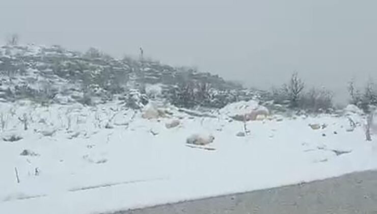 Diyarbakır’ın iki ilçesinde kar yağışı