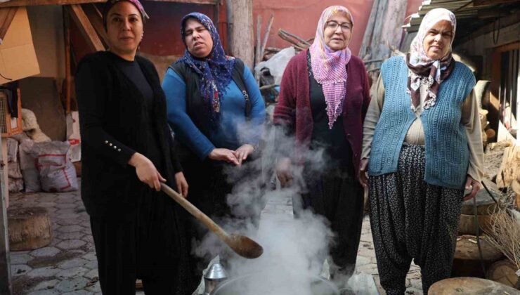 Doğadaki zehirli ot kara kazanda şifaya dönüşüyor