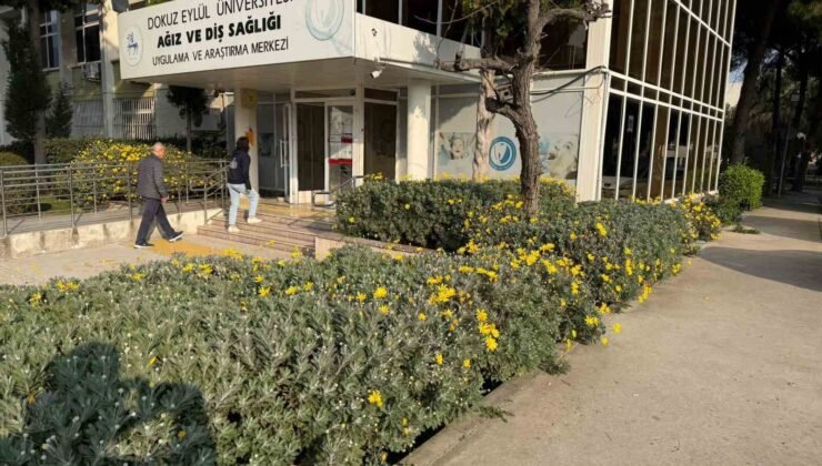 Dokuz Eylül Üniversitesi Diş Sağlığı Merkezi yeşil kartlı hasta kabulüne başladı