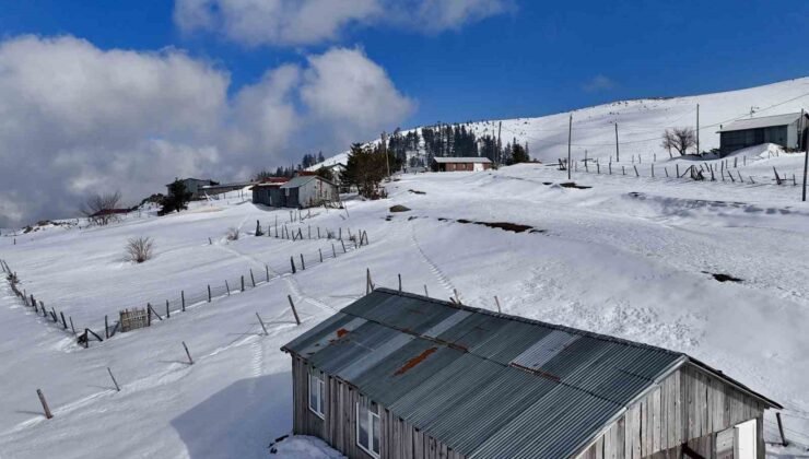 Düzce’nin zirvesi Kardüz’den muhteşem görüntüler