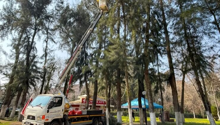 Efeler’de Pınarbaşı Mesire Alanı bakıma alındı