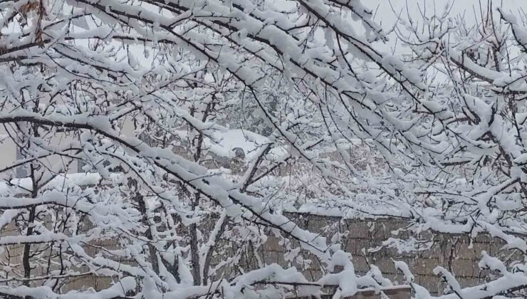 Erciş’te mart ayında kar yağışı