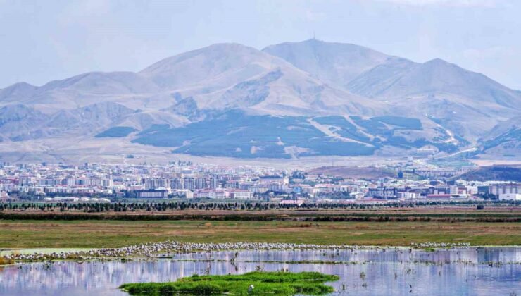 Erzurum ve Bakü petrol hattında 1921’de kritik duraklama