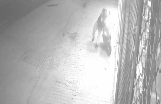 Gaza bastı, motosikletten düştü