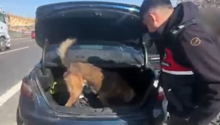 Gaziantep’te şüpheli araçta uyuşturucu ele geçirildi: 3 gözaltı