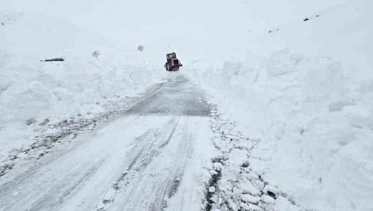 Hakkari’de 13 köy ve 32 mezra yolu ulaşıma kapandı
