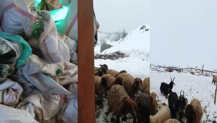 Hakkari’de 1,5 metrelik kar: Çiftçiler çaresiz
