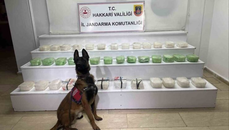 Hakkari’de 43 kilo metamfetamin ele geçirildi