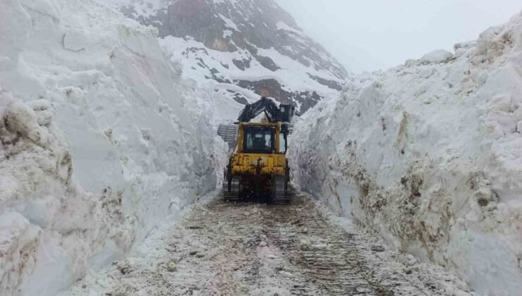 Hakkari’de 56 yerleşim yerinin yolu ulaşıma kapandı