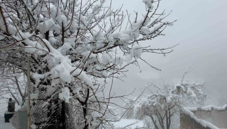 Hakkari’de 82 yerleşim yerinin yolu kapandı