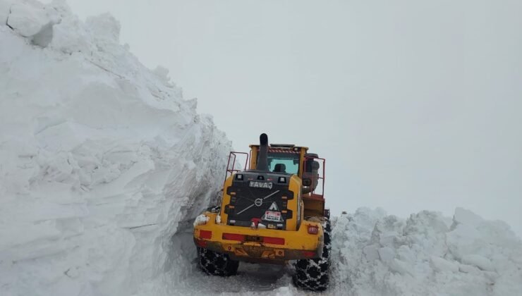 Hakkari’de kapanan tüm köy ve mezra yolları yeniden açıldı