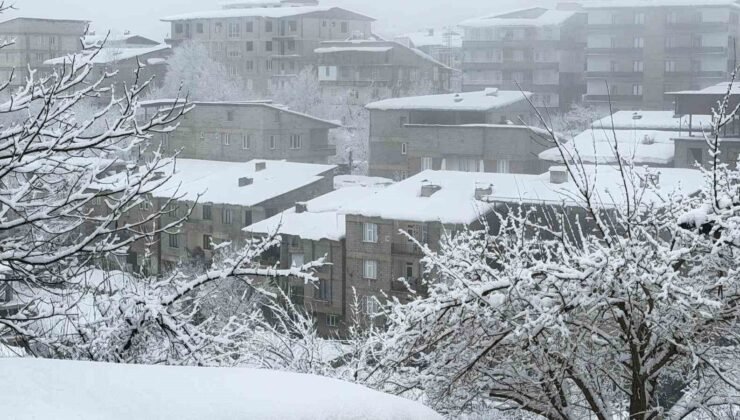 Hakkari’de kar yağışı