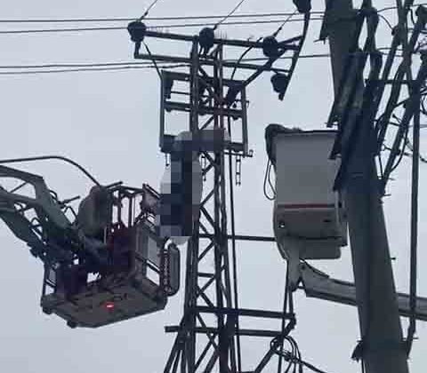 Hırsızlık için çıktığı elektrik direği sonu oldu