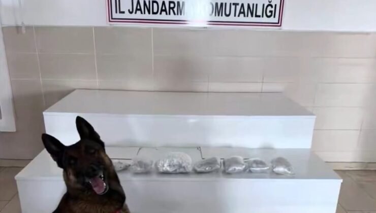 İçişleri Bakanlığı: “Van ve Hakkari’de 320 kilogram uyuşturucu madde ele geçirildi”