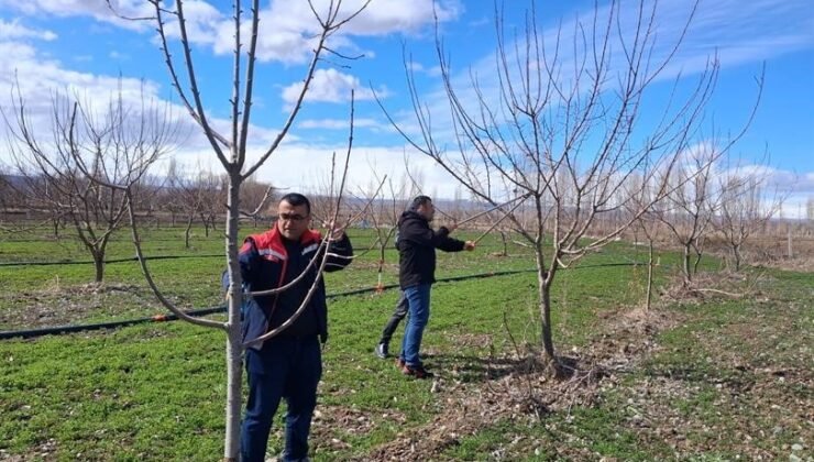 Iğdır’da çiftçilere uygulamalı meyve ağacı budama eğitimi