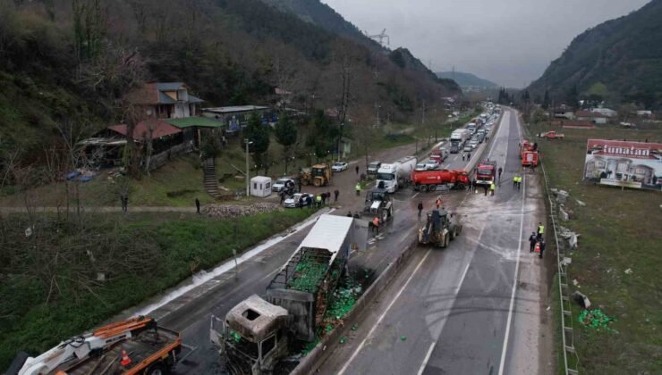 İki tır çarpıştı, D-650 savaş alanına döndü