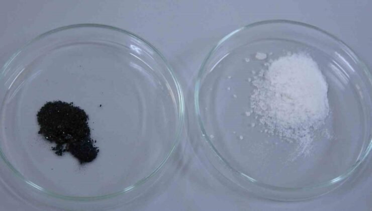 Isparta’da endemik bitkiden doğaya zarar vermeden kanserle mücadeleye umut olacak üretim modeli geliştiriliyor