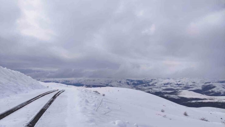 Kar yağışı Aşkale’de yeniden etkili oluyor