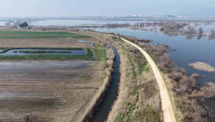 Karacabey çiftçisi yeni sezon ekimleri için suların çekilmesini bekliyor