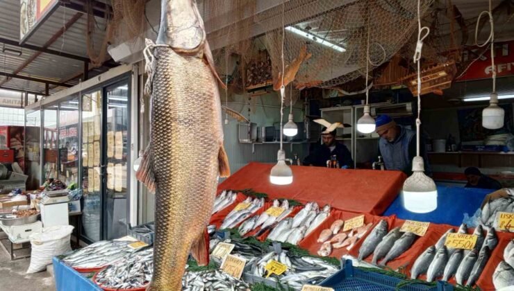 Karakaya Barajı’nda yakalanan 42 kiloluk turna balığı ilgi gördü