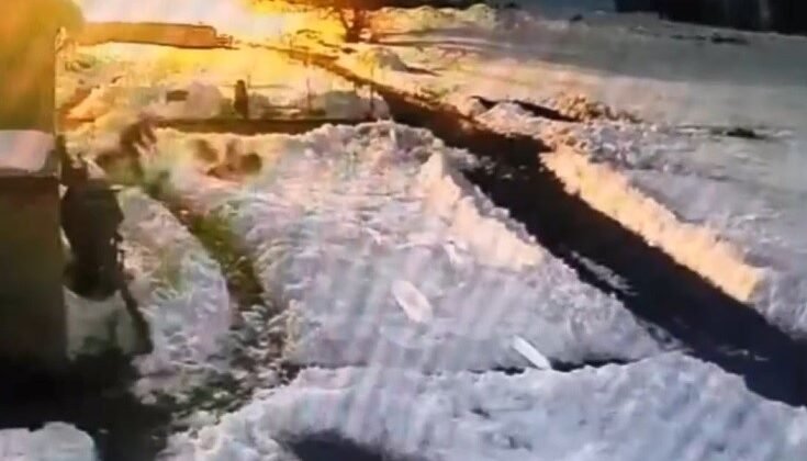 Kars’ta kurt sürüsünü kürekle kovalayan vatandaş kamerada