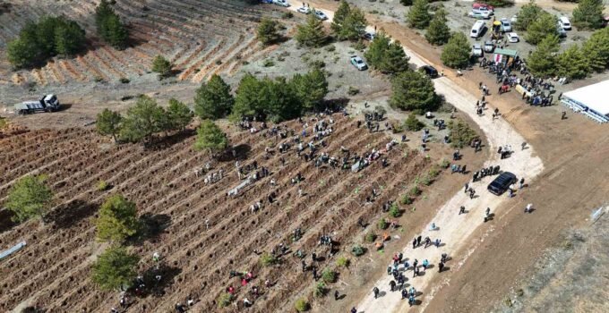 Kastamonu’da 210 bin fidan toprakla buluşturulacak