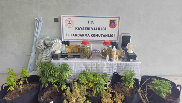 Kayseri’de evinde uyuşturucu yetiştiren şüpheli gözaltına alındı
