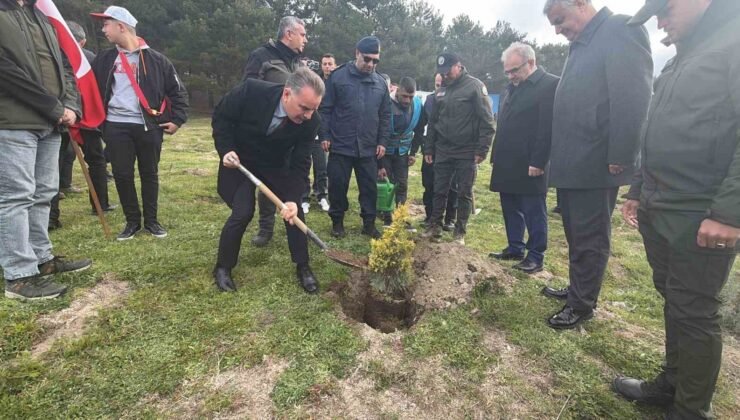 Kazdağları’nda fidanlar toprakla buluştu