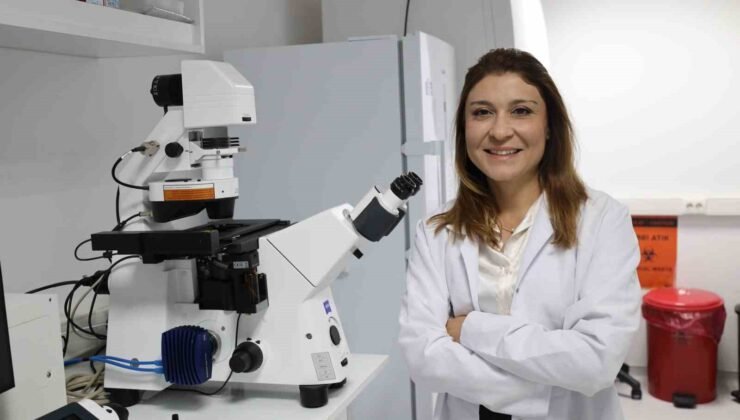 Kemik erimesinin tedavisinde uluslararası iş birliği