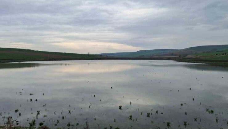 Kuruyan Yeşilsırt Göleti yağışlarla yeniden hayat buldu