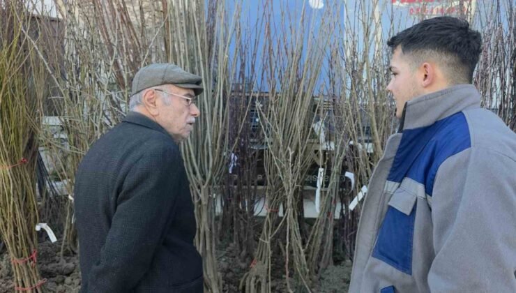 Kütahya’da fidan satışlarına ilgi