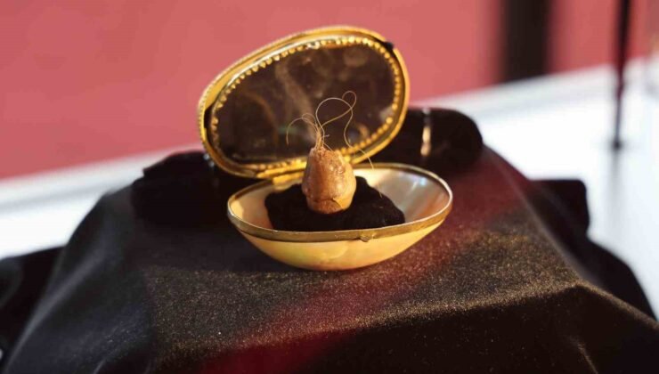 Kutsal emanetler Sivas’ta sergilendi, görmek isteyen vatandaşlar uzun kuyruk oluşturdu