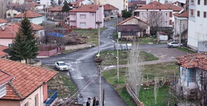 Mahallenin maskotu oldular, baharla birlikte yuvalarına döndüler