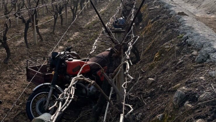 Manisa’da sepetli motosiklet üzüm bağına uçtu: 1 ölü