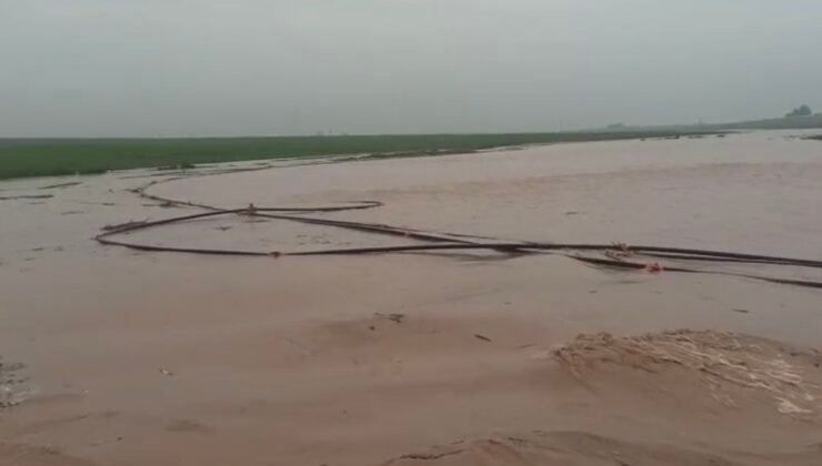 Mardin’de sağanak hayatı felç etti: Dereler taştı, ahır çöktü