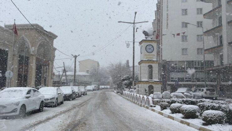 Mazıdağı’nda mart ayında kar yağışı etkili oldu