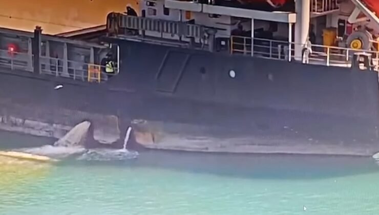 Mersin’de denizi kirleten gemiye 13 milyon TL ceza kesildi, gemi rıhtıma bağlandı