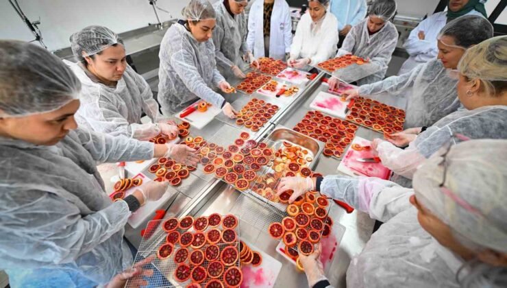 Mersin’de kan portakalı kadınların elinde değer kazanıyor