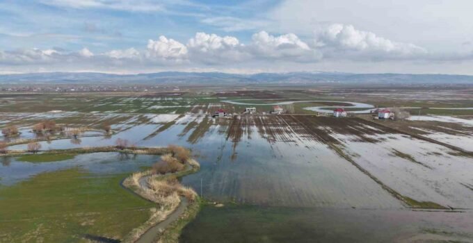 Muş Ovası’nda kar erimesi ve sağanak tarım arazilerini sular altında bıraktı