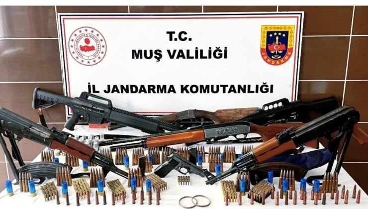 Muş’ta jandarmadan silah ve tarihi eser operasyonu