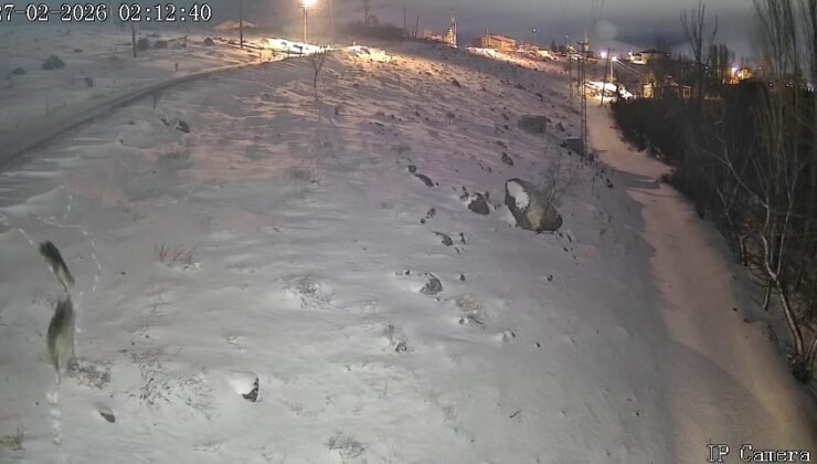 Niğde’de aç kalan kurtlar köye indi