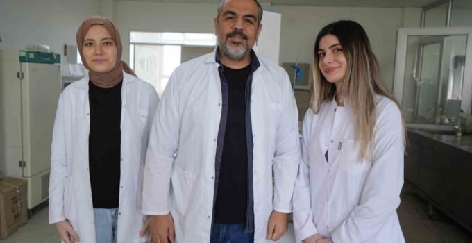 OMÜ projesiyle gıda endüstrisine pH duyarlı doğal renklendirici adayı