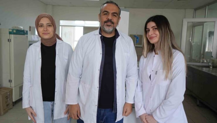 OMÜ projesiyle gıda endüstrisine pH duyarlı doğal renklendirici adayı