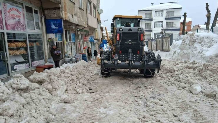 Ordu’da kar ve buzlanma nedeniyle 2 ilçede eğitime ara verildi
