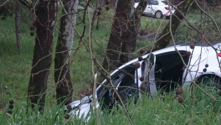 Pendik’te virajı alamayan sürücü ağaca çarptı