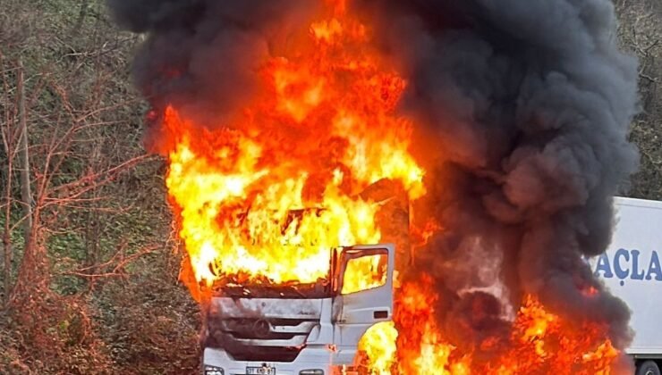 Rize’de arızalanan tır alev alev yandı